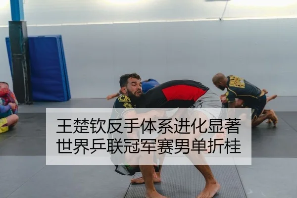 王楚钦反手体系进化显著 世界乒联冠军赛男单折桂